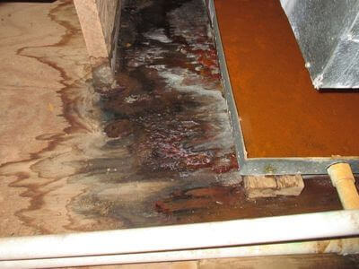About Water Damage Restoration in Boca Raton - water damage restoration experts in Boca Raton